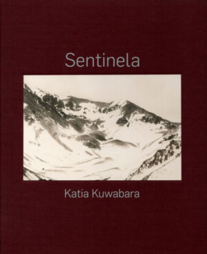 Sentinela (cópia)
