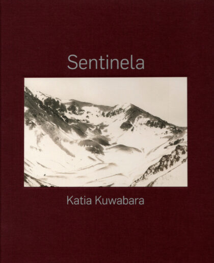 Sentinela (cópia)